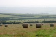 Cornish hay bales (IMG_0883.JPG, 1536 x 1024, 611.5K) 