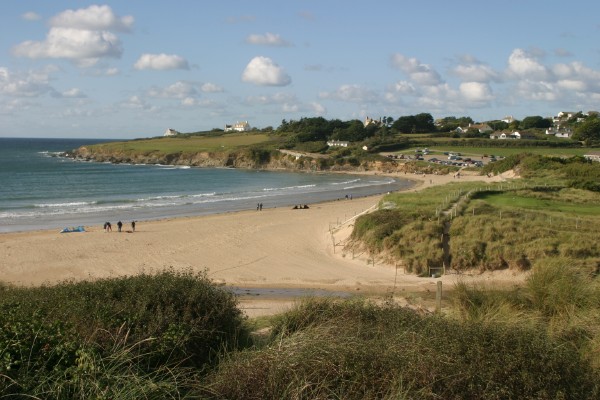 Cornwall Countryside: Photo 8 (IMG_0981.JPG, 600 x 400, 72.0K) 