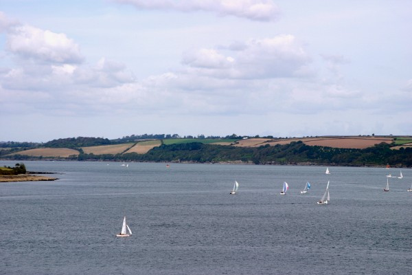 Cornwall Countryside: Photo 11 (IMG_1068.JPG, 600 x 400, 48.0K) 