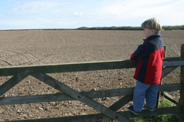 Cornwall Countryside: Photo 15 (IMG_1135.JPG, 600 x 400, 68.0K) 