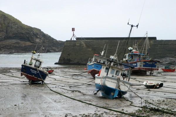 Cornwall Countryside: Photo 17 (IMG_1168.JPG, 600 x 400, 72.0K) 