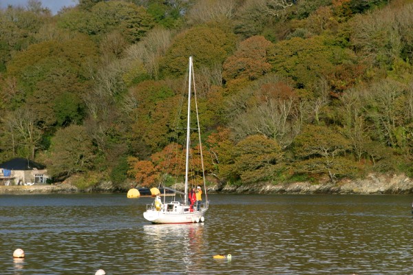 Cornwall Countryside: Photo 24 (IMG_1458.JPG, 600 x 400, 100.0K) 