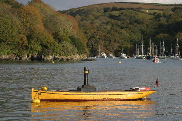 Cornwall Countryside: Photo 26 (IMG_1460.JPG, 600 x 400, 76.0K) 