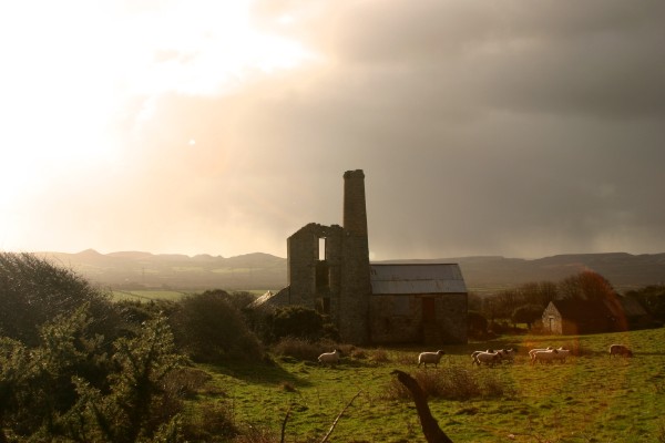 Cornwall Countryside: Photo 29 (IMG_2889.JPG, 600 x 400, 44.0K) 