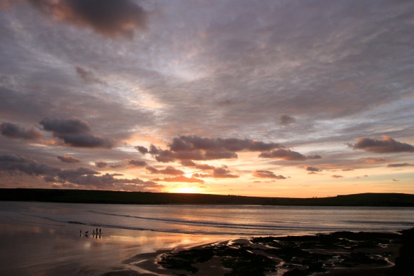 Cornwall Countryside: Photo 31 (IMG_3095.JPG, 600 x 400, 48.0K) 