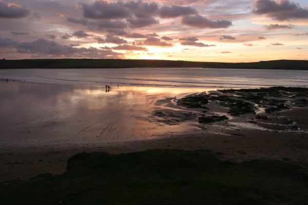 Cornwall Countryside: Photo 34 (IMG_3108.JPG, 600 x 400, 52.0K) 