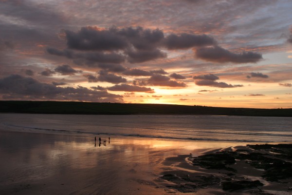 Cornwall Countryside: Photo 35 (IMG_3110.JPG, 600 x 400, 52.0K) 