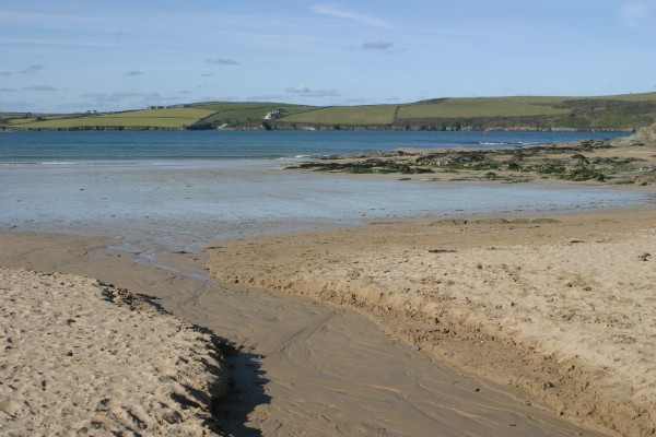 Cornwall Countryside: Photo 36 (IMG_3159.JPG, 600 x 400, 64.0K) 