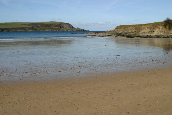 Cornwall Countryside: Photo 37 (IMG_3170.JPG, 600 x 400, 52.0K) 