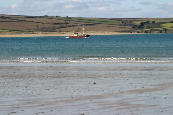 Cornwall Countryside: Photo 38 (IMG_3173.JPG, 600 x 400, 64.0K) 