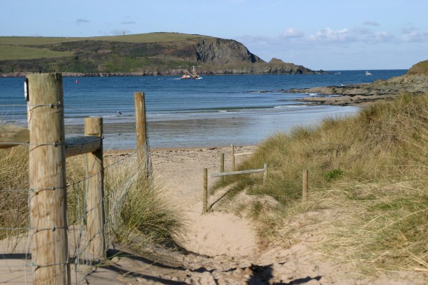 Cornwall Countryside: Photo 39 (IMG_3174.JPG, 600 x 400, 76.0K) 