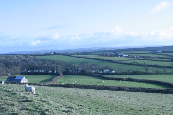 Cornwall Countryside: Photo 41 (IMG_3299.JPG, 600 x 400, 56.0K) 