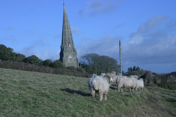 Cornwall Countryside: Photo 42 (IMG_3302.JPG, 600 x 400, 60.0K) 