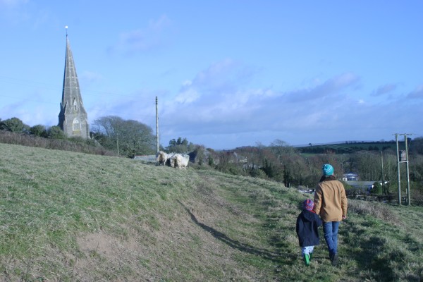 Cornwall Countryside: Photo 43 (IMG_3304.JPG, 600 x 400, 64.0K) 