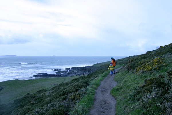 Cornwall Countryside: Photo 45 (IMG_3321.JPG, 600 x 400, 56.0K) 