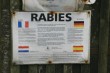 UK Rabies sign (IMG_1172.JPG, 1536 x 1024, 677.7K) 