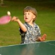 Ping pong (IMG_6227.JPG, 1536 x 1024, 421.8K) 