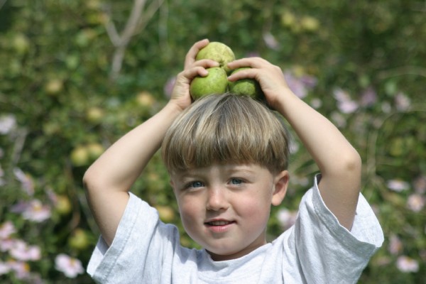 Cornwall Weblog: Nathaniel in the Garden (IMG_0660.JPG, 600 x 400, 56.0K) 