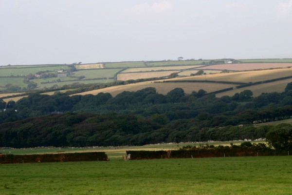 Cornwall Weblog: Cornish countryside (IMG_0924.JPG, 600 x 400, 48.0K) 