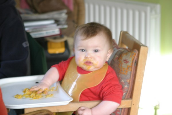 Cornwall Weblog: Sebastian playing with his food (IMG_1762.JPG, 600 x 400, 40.0K) 