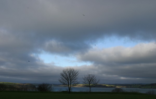 Cornwall Weblog: Sky at Pendennis (IMG_3024.JPG, 600 x 381, 28.0K) 