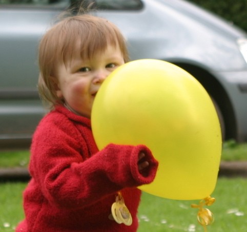 Cornwall Weblog: Balloon for Sebastian (IMG_4499.JPG, 482 x 453, 40.0K) 