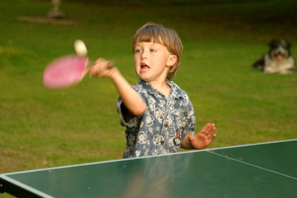 Cornwall Weblog: Ping pong (IMG_6227.JPG, 600 x 400, 44.0K) 