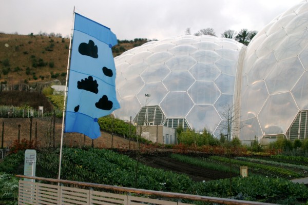 Eden Project: Photo 2 (IMG_2870.JPG, 600 x 400, 68.0K) 