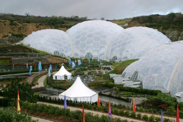 Eden Project: Photo 4 (IMG_2882.JPG, 600 x 400, 76.0K) 