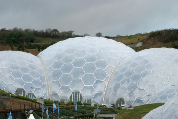 Eden Project: Photo 5 (IMG_2886.JPG, 600 x 400, 56.0K) 