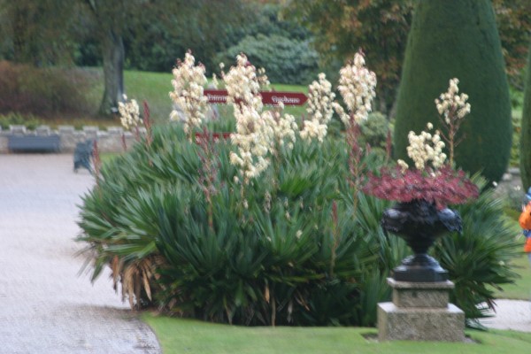 Lanhydrock: Photo 8 (IMG_1557.JPG, 600 x 400, 68.0K) 