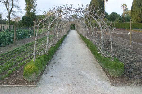 Lost Gardens of Heligan: Photo 1 (IMG_2930.JPG, 600 x 400, 92.0K) 