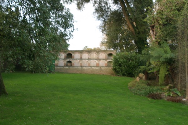 Lost Gardens of Heligan: Photo 16 (IMG_2934.JPG, 600 x 400, 68.0K) 