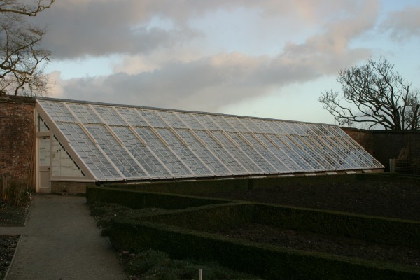 Lost Gardens of Heligan: Photo 17 (IMG_2936.JPG, 600 x 400, 56.0K) 