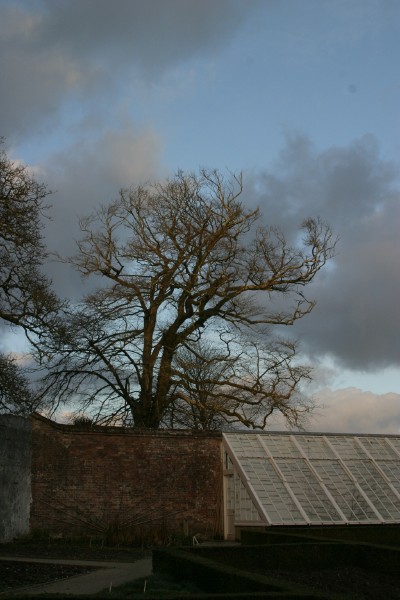 Lost Gardens of Heligan: Photo 19 (IMG_2938.JPG, 400 x 600, 60.0K) 