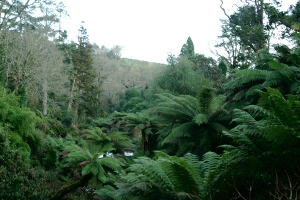 Lost Gardens of Heligan: Photo 13 (IMG_2953.JPG, 600 x 400, 80.0K) 