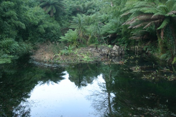 Lost Gardens of Heligan: Photo 29 (IMG_2956.JPG, 600 x 400, 80.0K) 