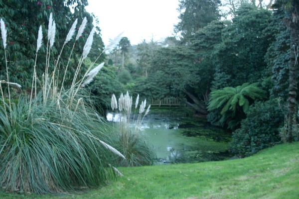 Lost Gardens of Heligan: Photo 14 (IMG_2957.JPG, 600 x 400, 88.0K) 