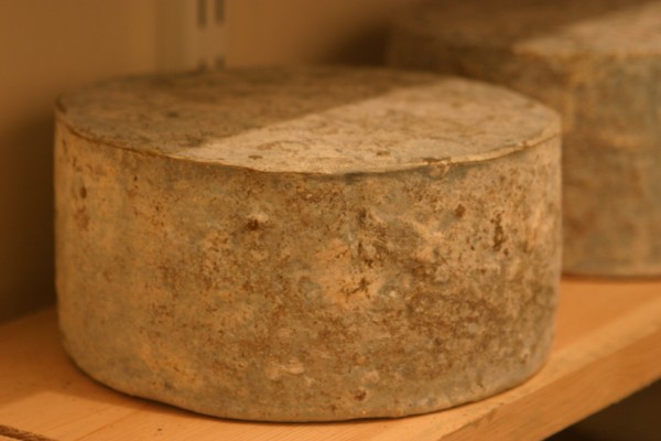 Menallack Cheese: Photo 2 (IMG_0997.JPG, 600 x 400, 44.0K) 