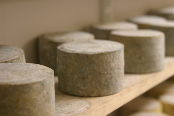 Menallack Cheese: Photo 6 (IMG_1002.JPG, 600 x 400, 32.0K) 