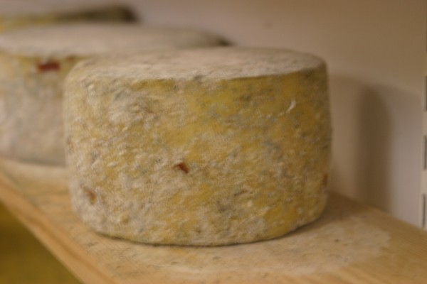 Menallack Cheese: Photo 7 (IMG_1003.JPG, 600 x 400, 36.0K) 