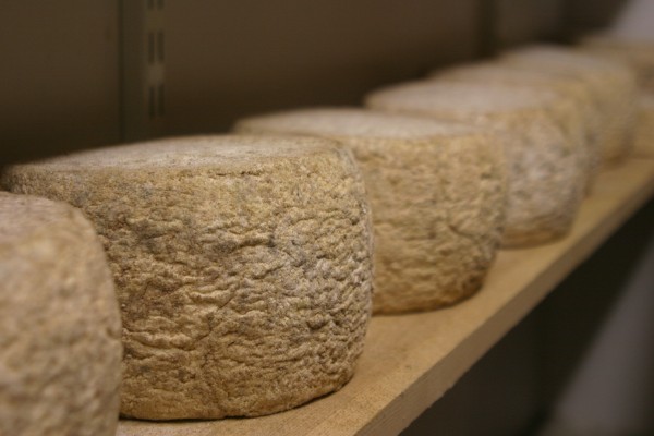 Menallack Cheese: Photo 8 (IMG_1004.JPG, 600 x 400, 44.0K) 