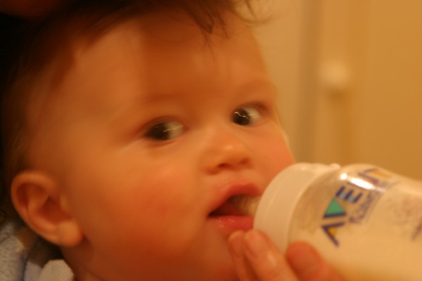 Sebastian: Photo 26 (IMG_1476.JPG, 600 x 400, 28.0K) 