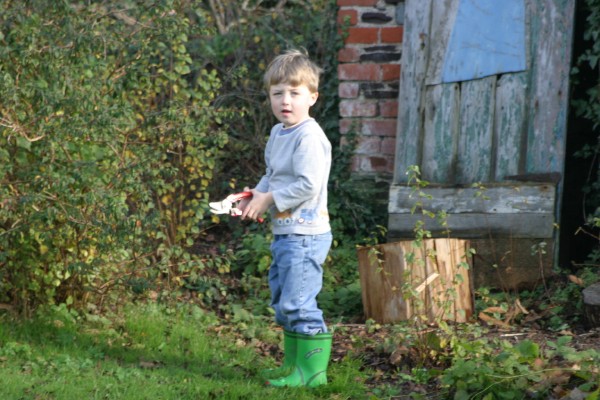 Sitting in the Garden: Photo 6 (IMG_2201.JPG, 600 x 400, 84.0K) 